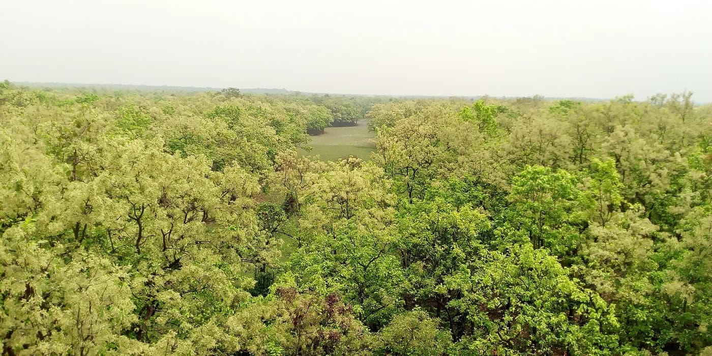 Bhawal National Park