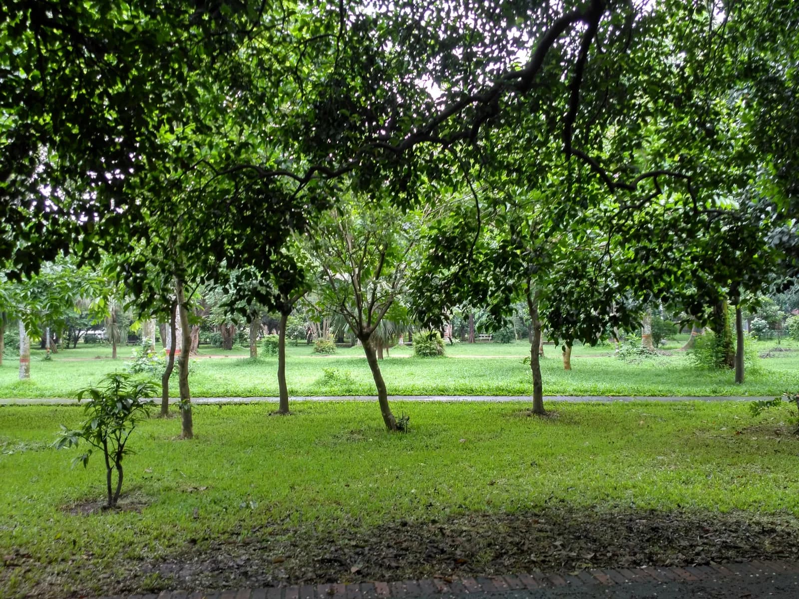 রমনা পার্ক