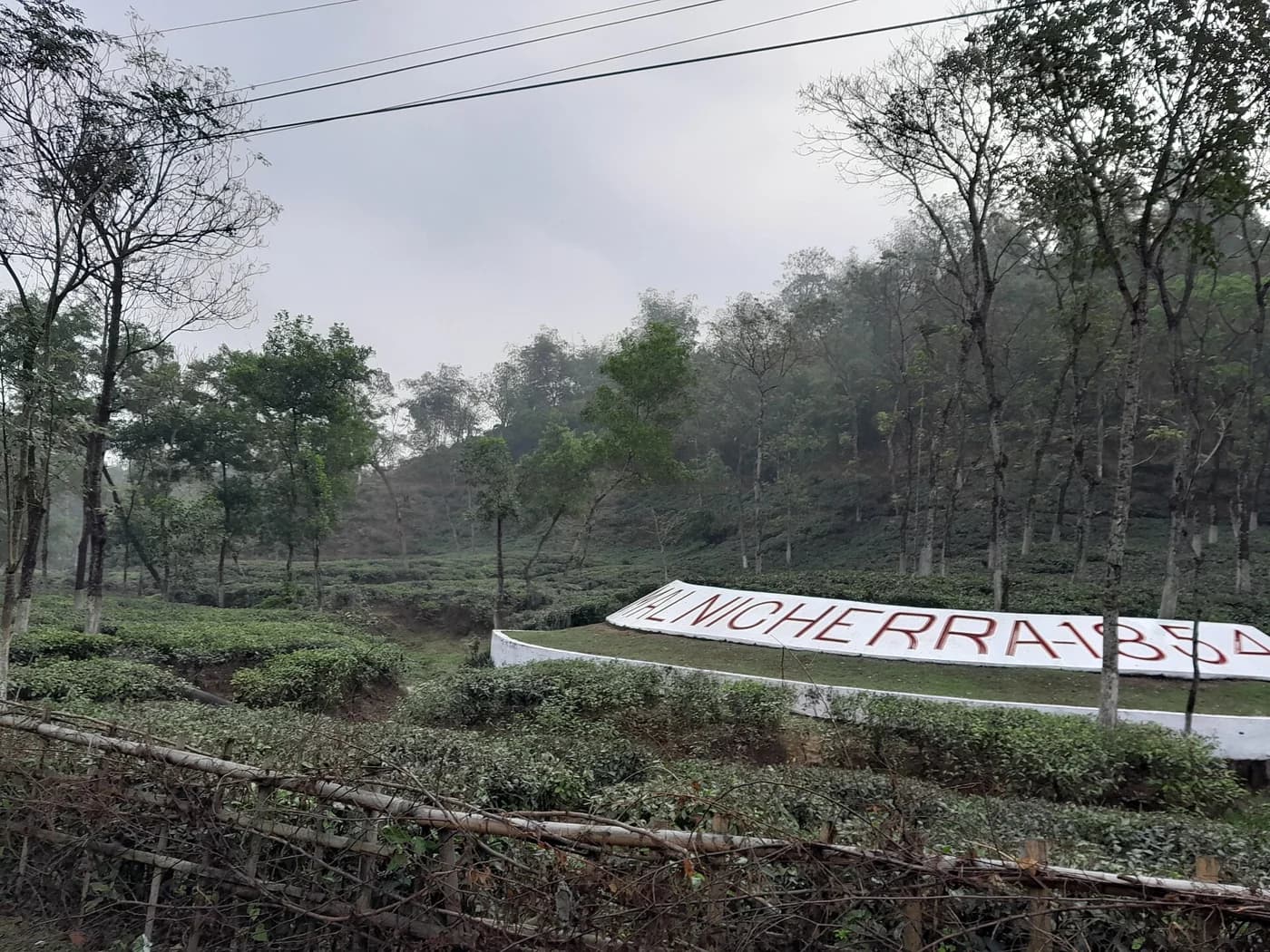 Malnicherra Tea Garden