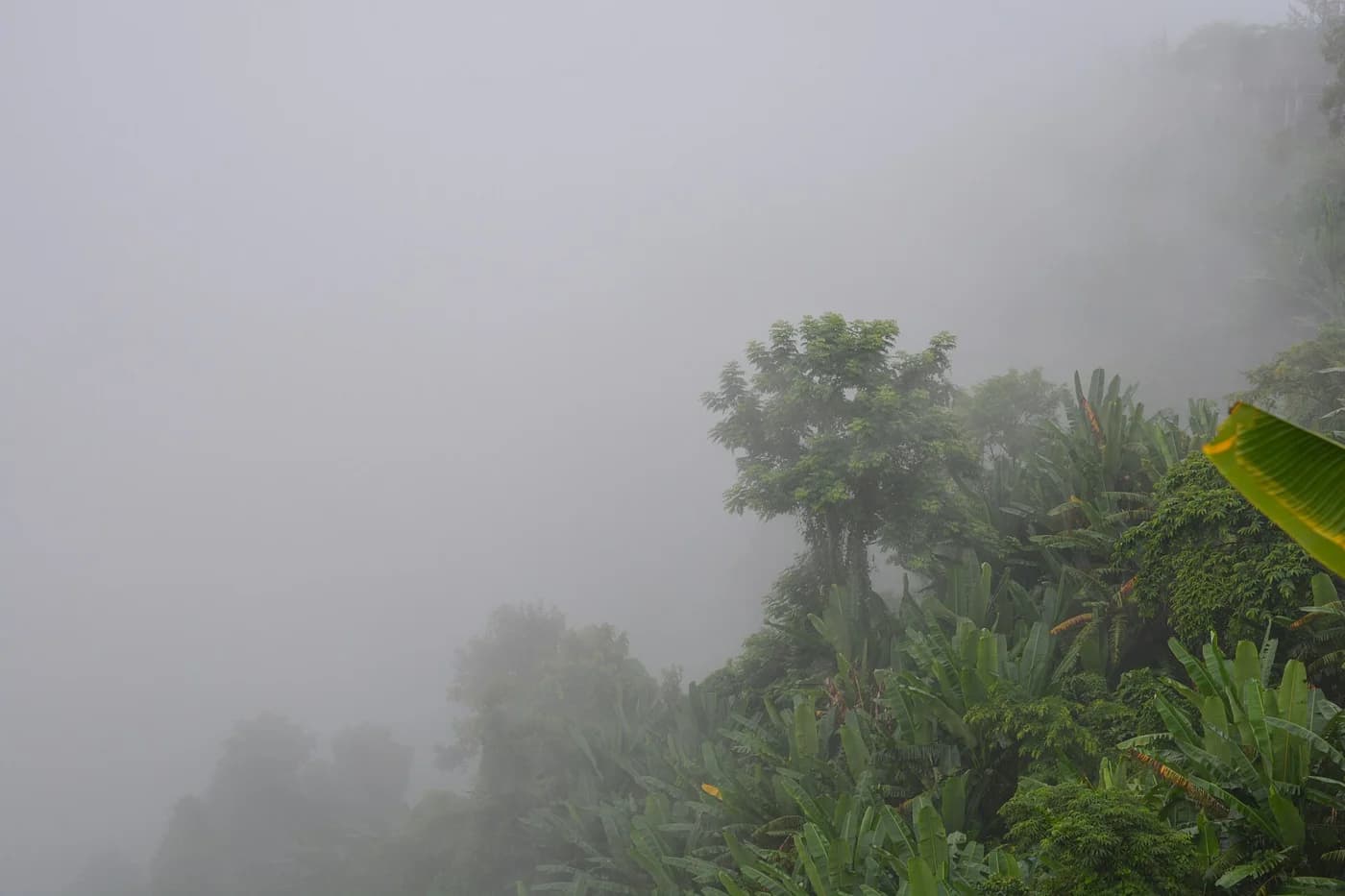 Nilachal