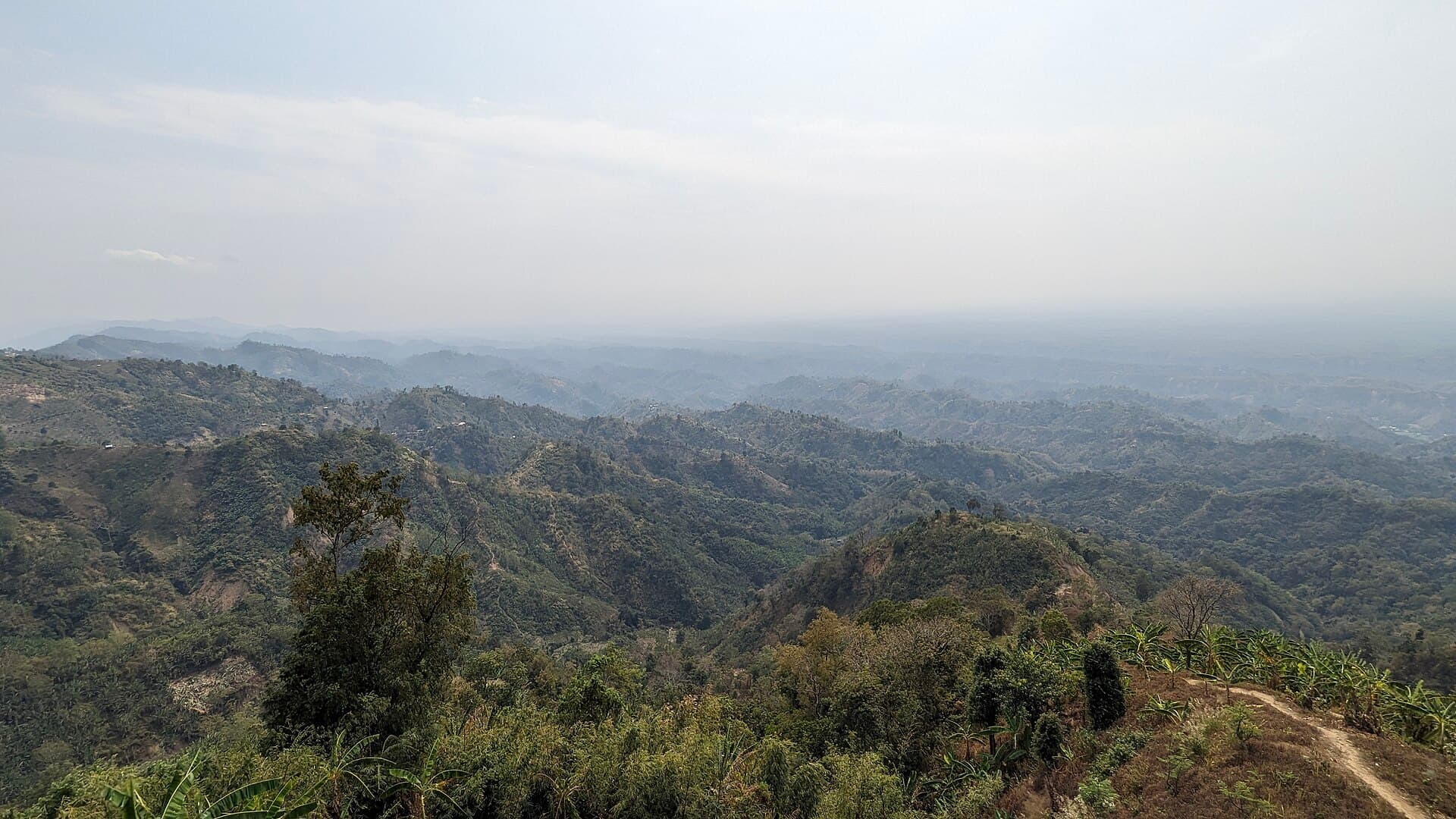 নীলগিরি