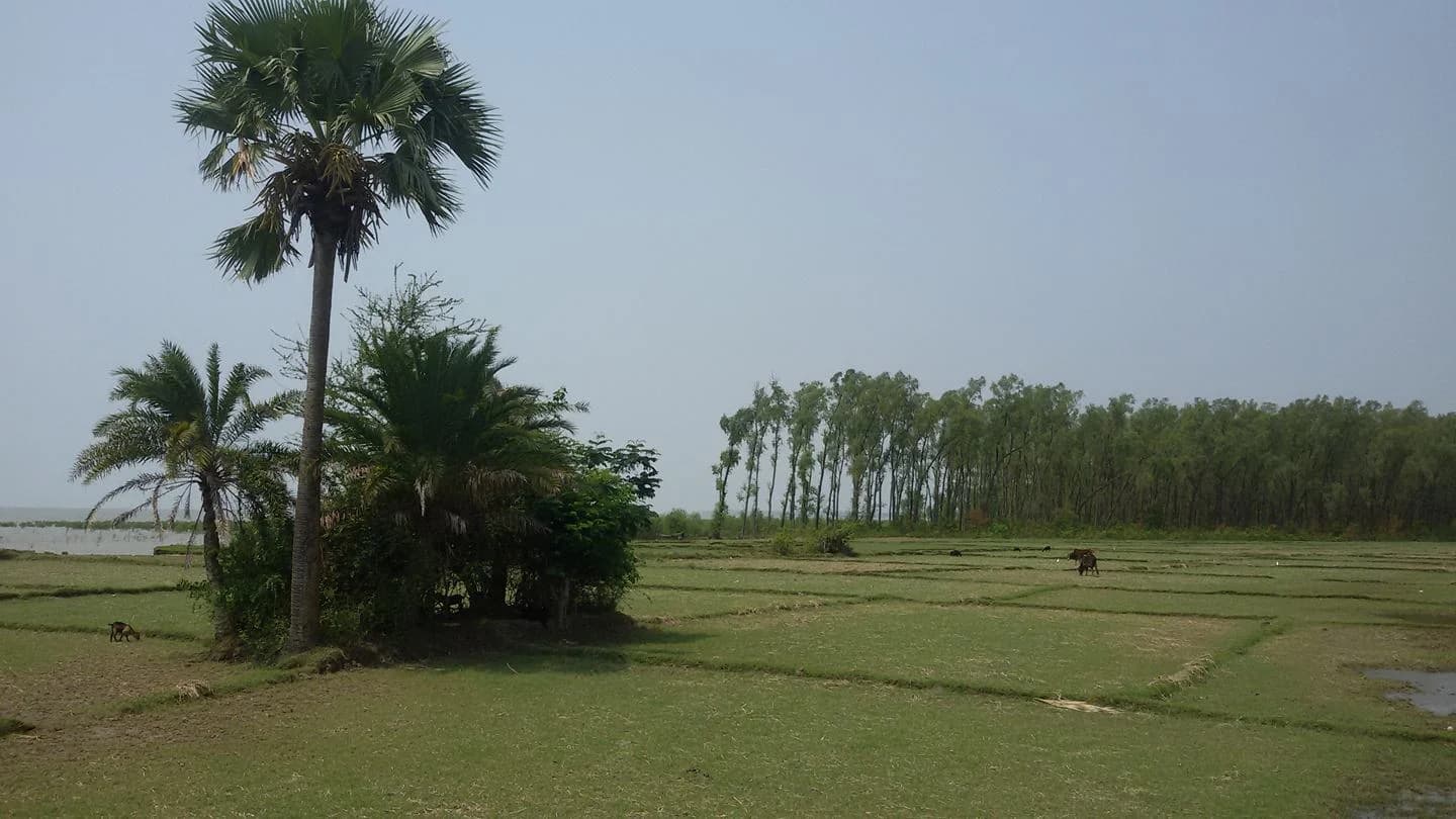 টেংরাগিরি ইকোপার্ক