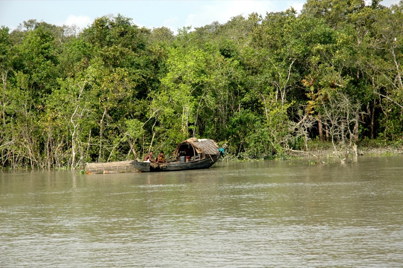 Questions to ask before a Sundarbans trip